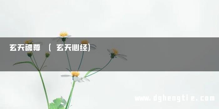 玄天魂尊 (玄天心经)